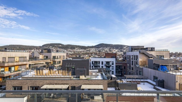 Utsikt over Frysjaparken fra takterrassen