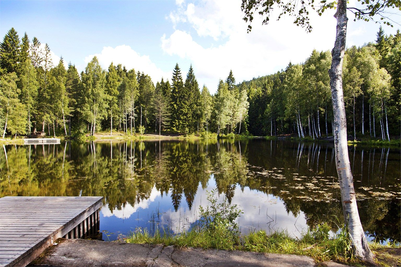 Trollvann