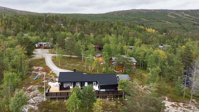 Bjorliberget byr på store tomter med god avstand mellom hyttene.