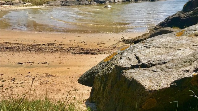 Fine sandstrender er det mange av på Bjørkøya
