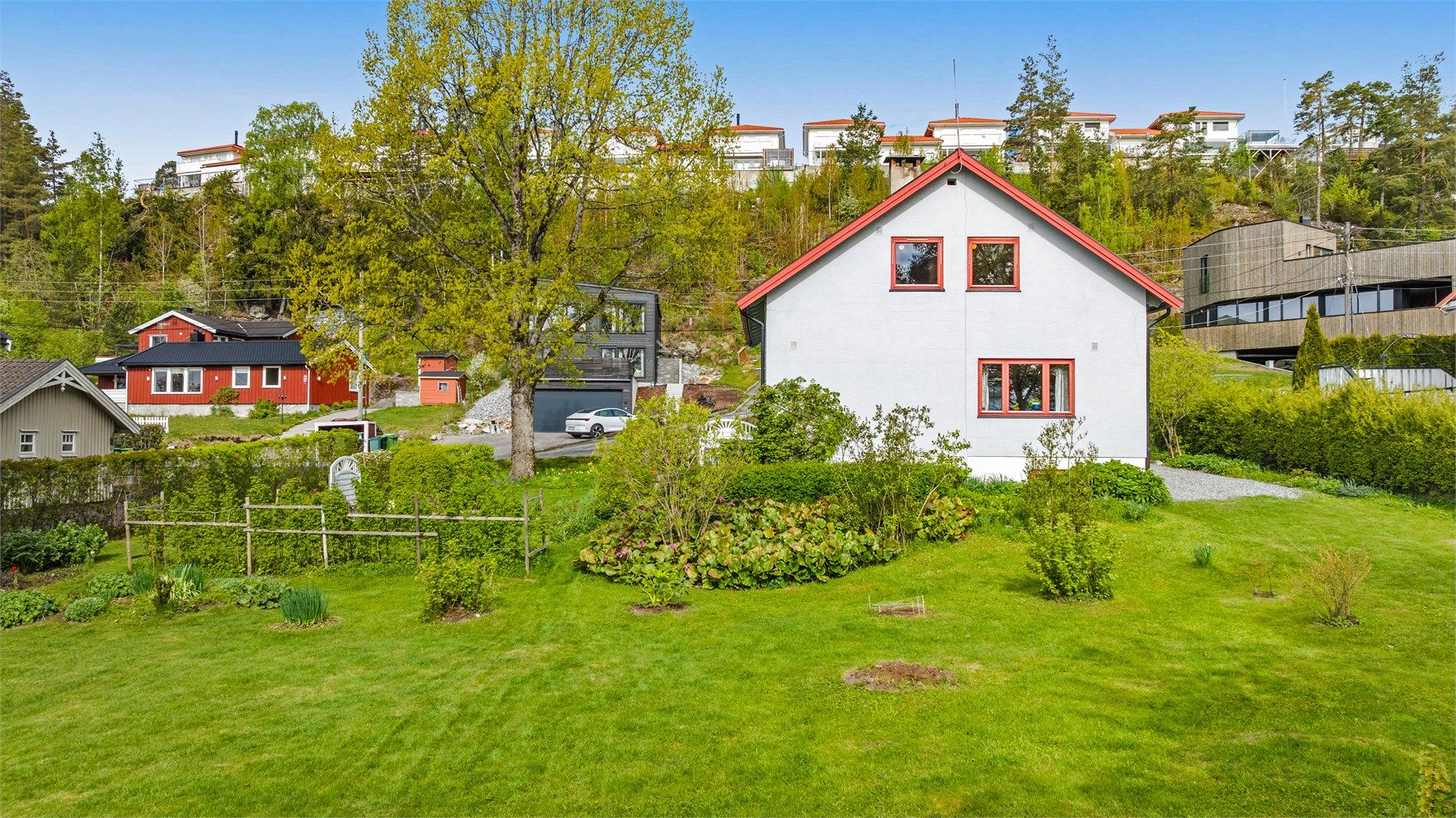 Stor hage med plenareal og etablert beplantning.