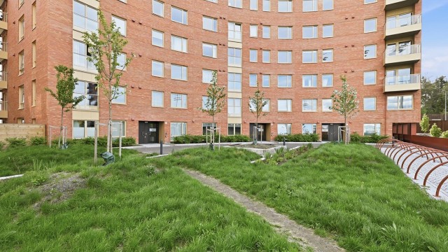 Velkommen til Idrettsgata 24!