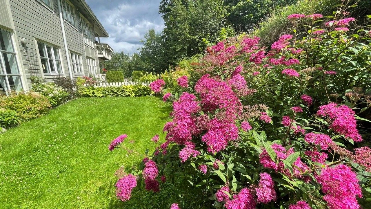 Selgers bilde av hagen