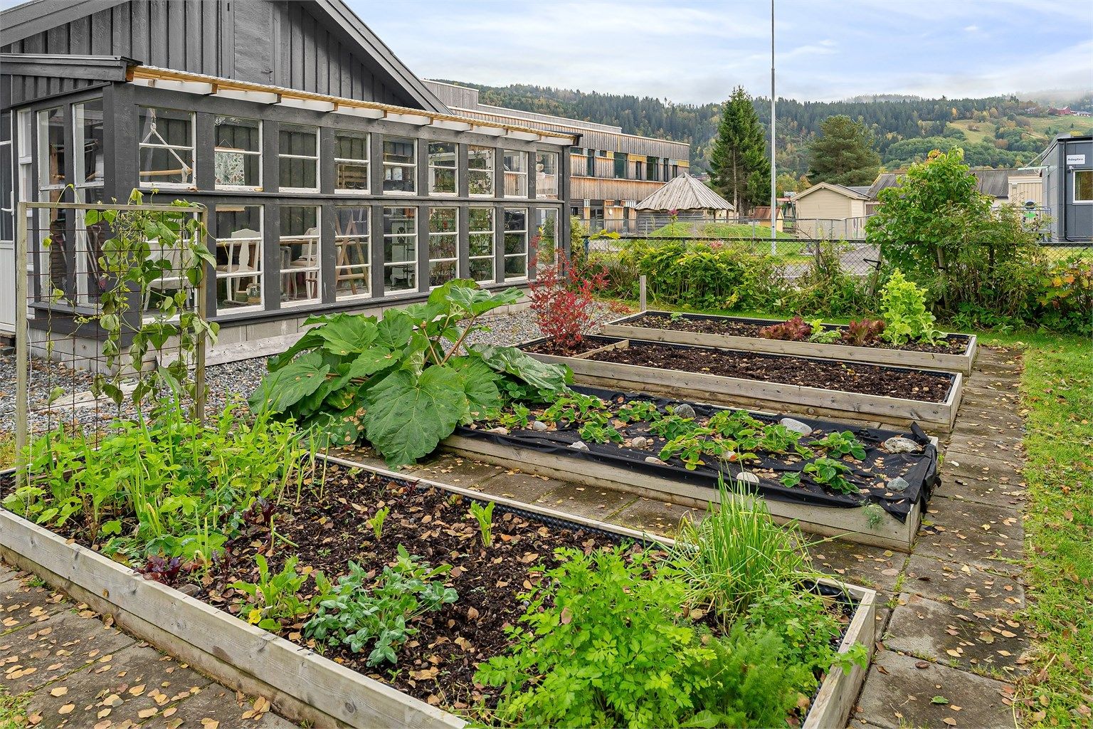 Opparbeidede plantekasser og gangheller like utenfor hagestuen.