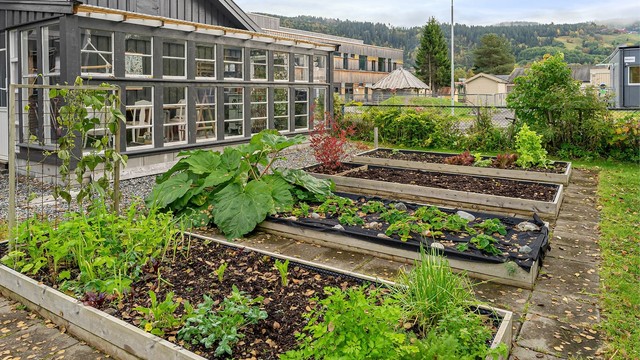 Opparbeidede plantekasser og gangheller like utenfor hagestuen.