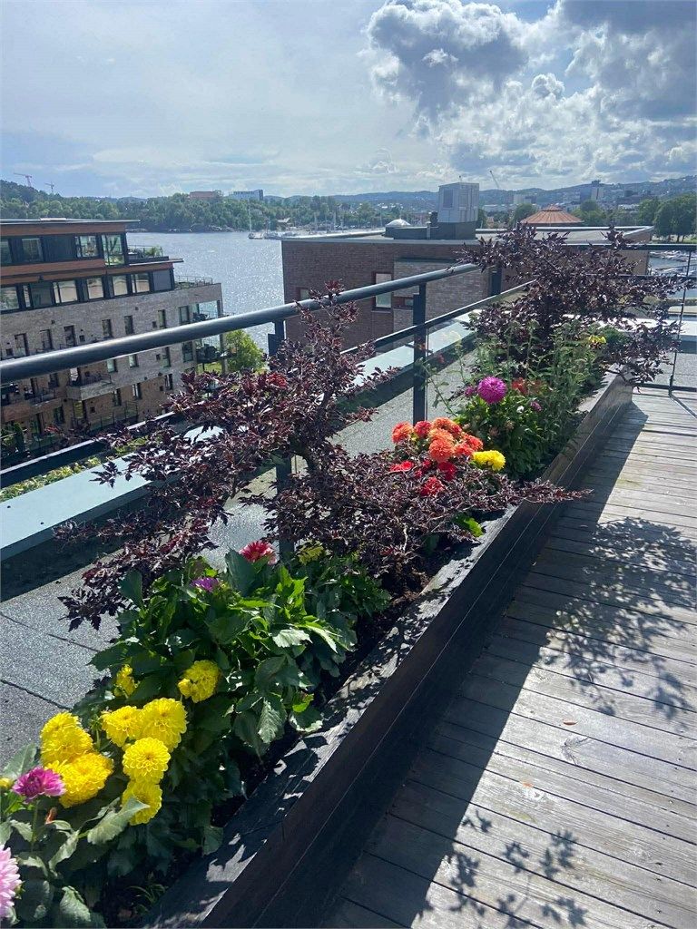 Det er også pen beplantning som er vedlikeholdt og som bidrar til ett trivelig bomiljø (selgers bilde).