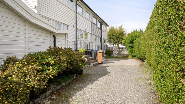 Felles bakgård.