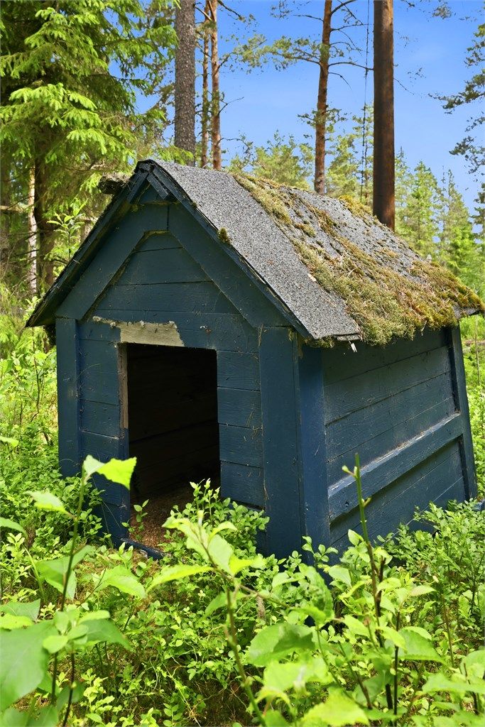 Hundehus