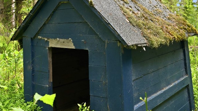 Hundehus