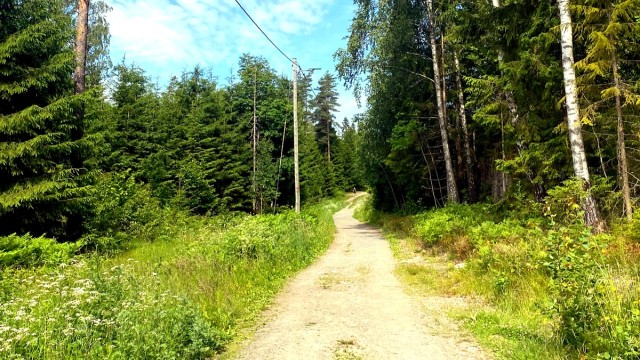 Bærumsmarka med flotte turmuligheter, sommer som vinter, og starter like utenfor døren.