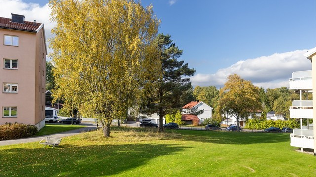 Utsikten fra balkongen.