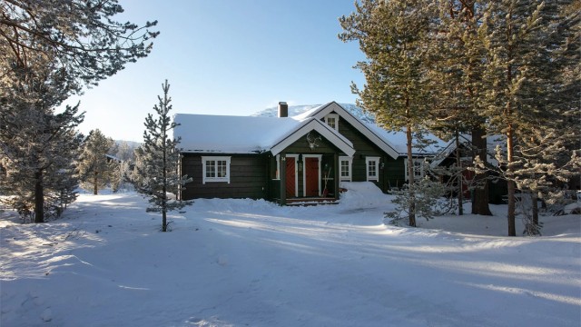 Adkomstveg og innkjørsel til eiendommen