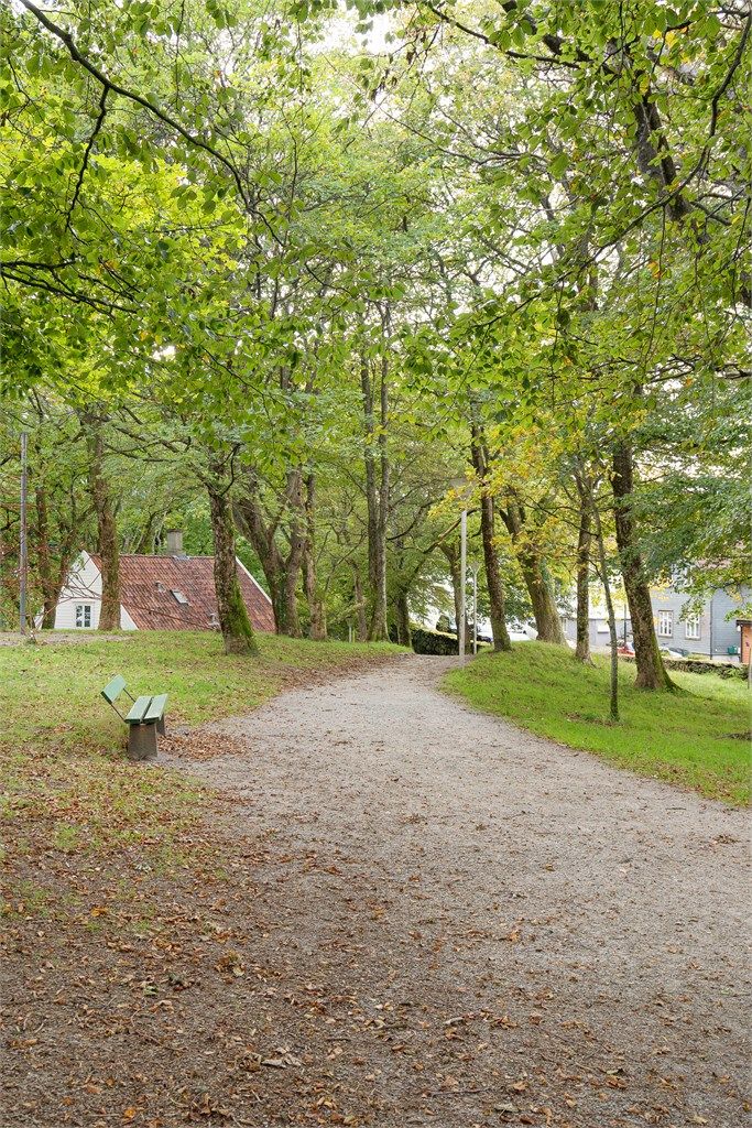 Bjergstedsparken like ved. 