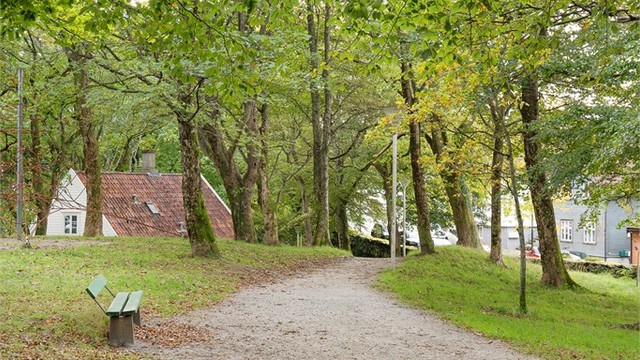 Bjergstedsparken like ved.