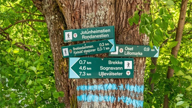 Området byr på en rekke turmuligheter innover marka