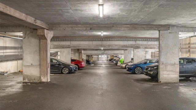 Iht. vedtektene har alle huseiere i huseierforeningen disposisjonsrett / bruksrett for en garasje eller garasjeplass