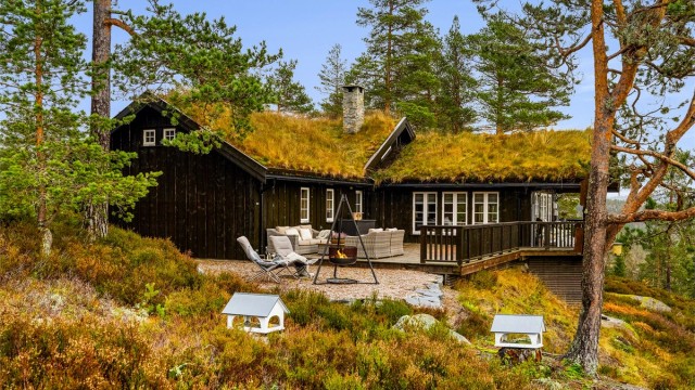 Hytta ligger fint til med utsikt, gode solforhold og med naturen som nabo.