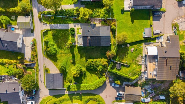 Romslig tomt opparbeidet med plen, hekk, gangstier og beplantning.