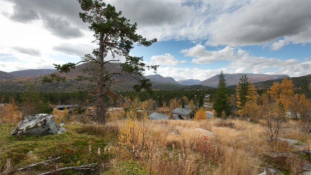 Tomten er i hovedsak naturtomt