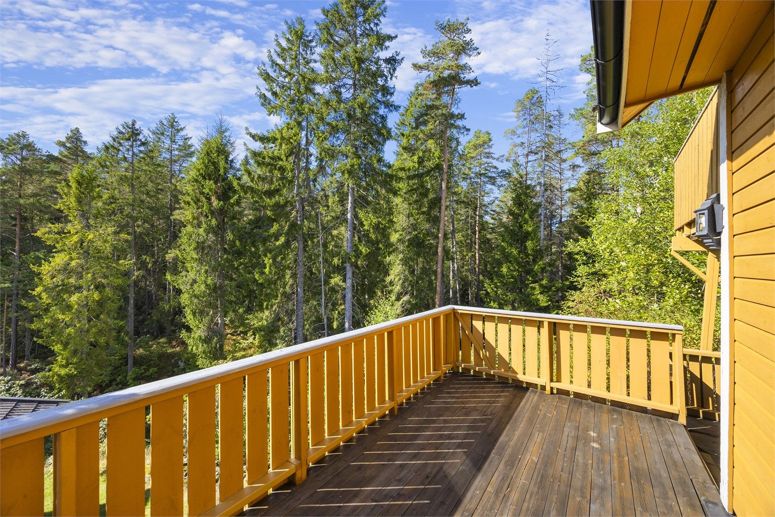 Her får man skogen som en av de nærmeste naboene (bak). Det er sol her til ca. kl  20:00 midtsommers.