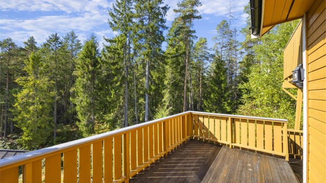 Her får man skogen som en av de nærmeste naboene (bak). Det er sol her til ca. kl 20:00 midtsommers.