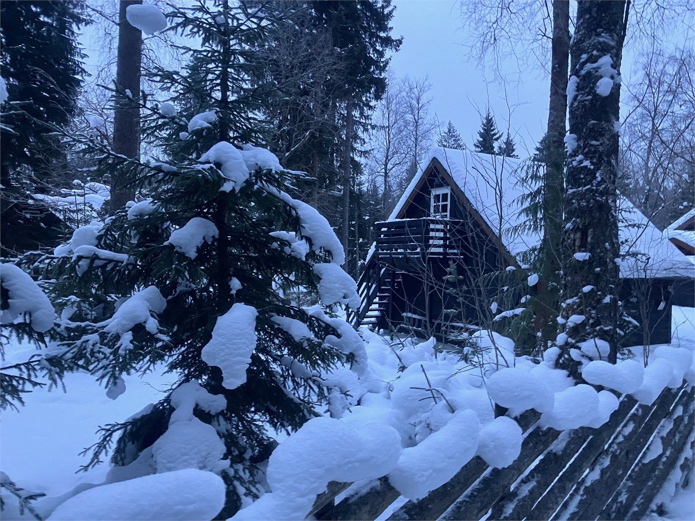 Selgers private bilder - vinter 2026