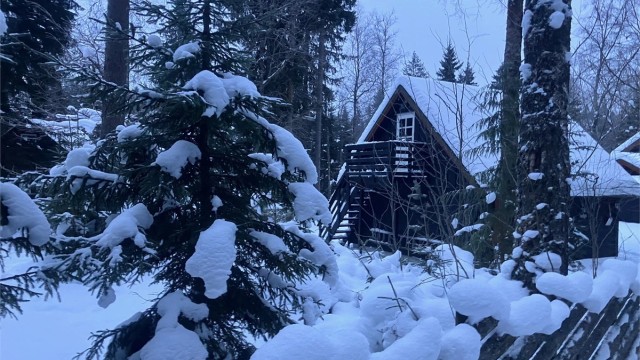 Selgers private bilder - vinter 2026