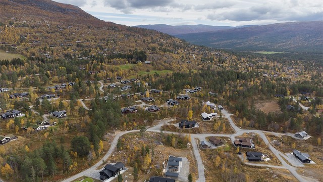 Dronebilde av hyttefeltet