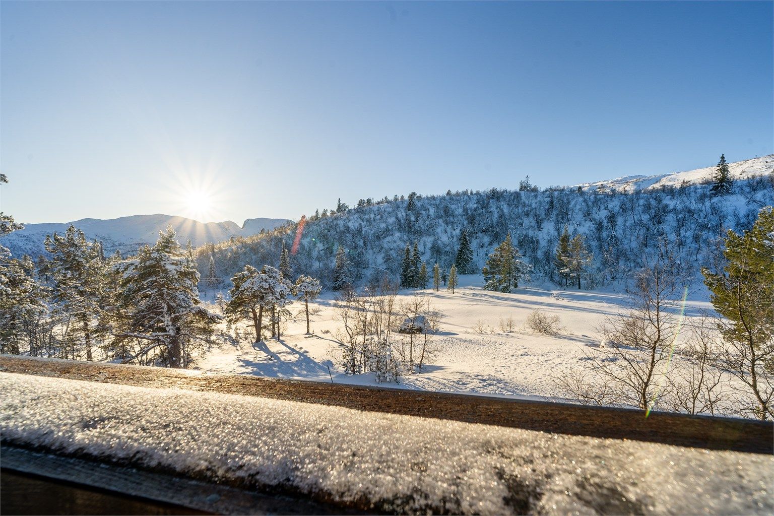 Utsikt fra solrik terrasse.