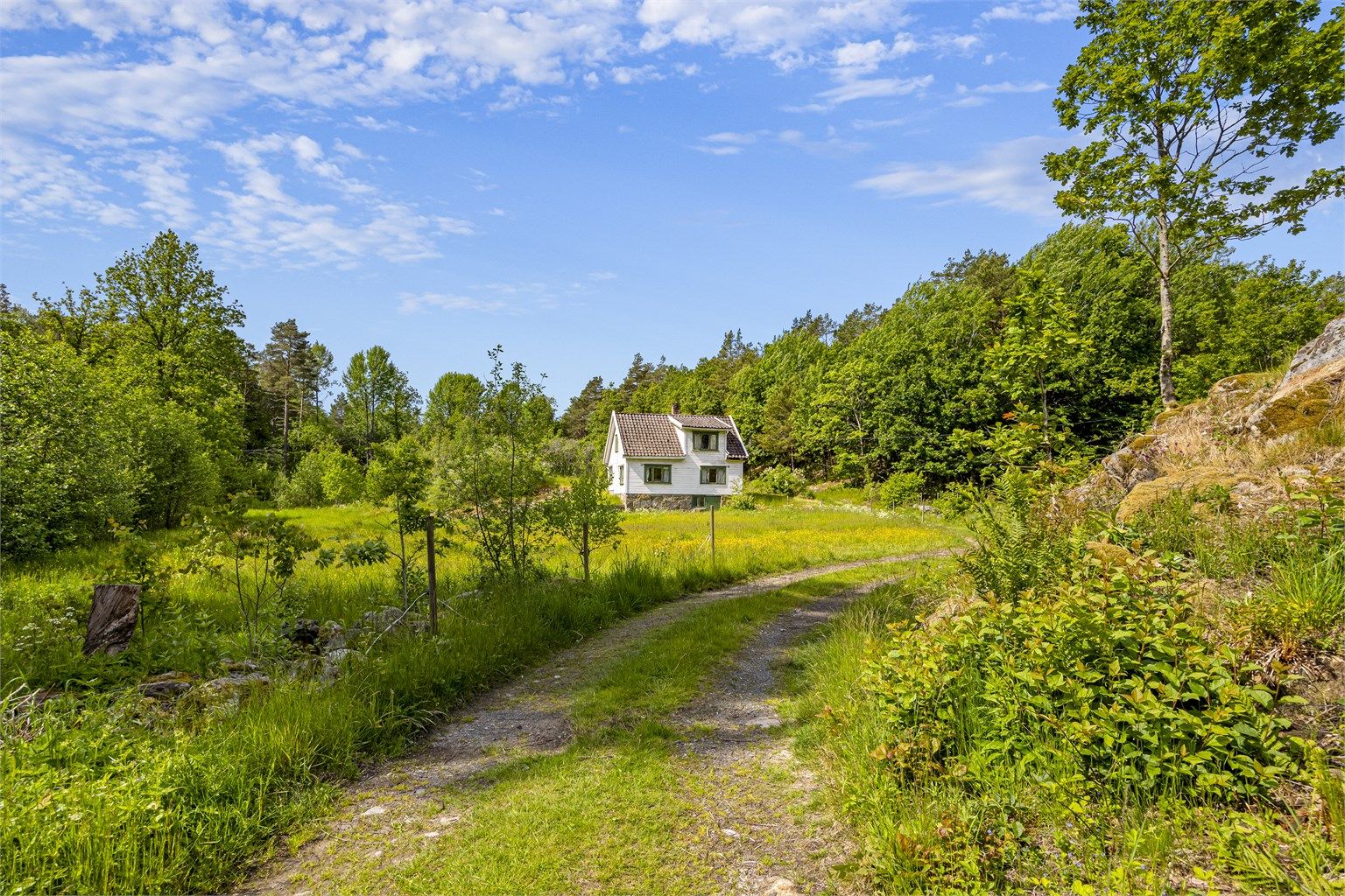 Skogsvei inn til eiendommen