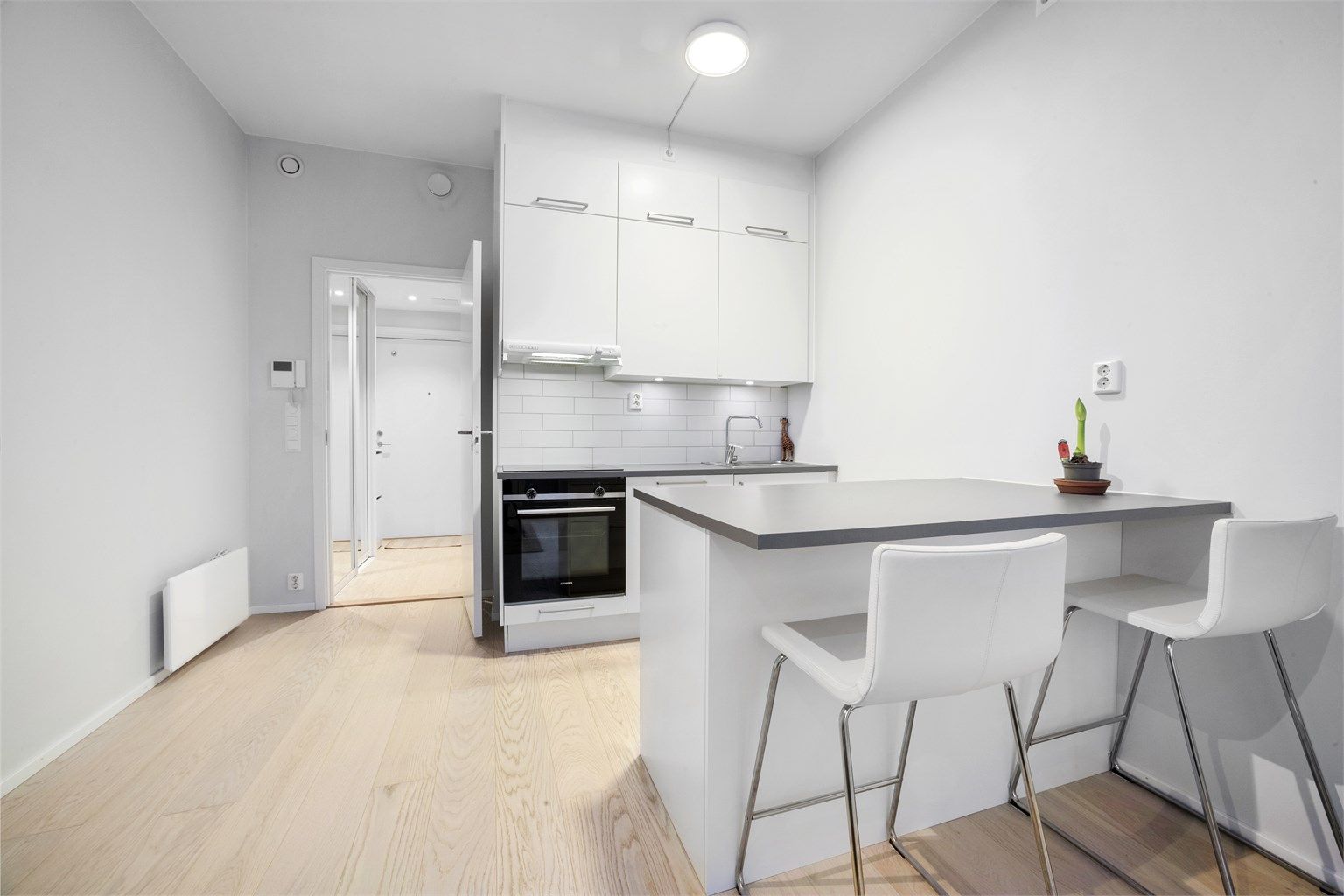 Moderne leilighet fra 2021 med 1-stavs eikeparkett.