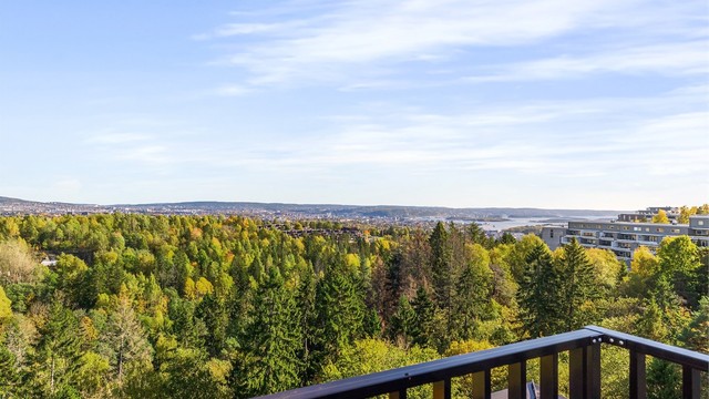 Vidstrakt utsikt mot fjorden og omkringliggende grøntområder fra borettslagets felles takterrasse.