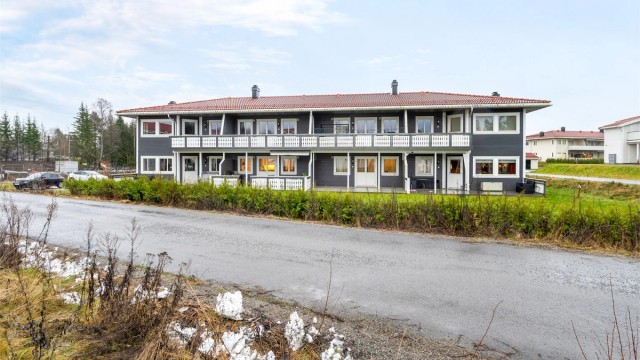 Krogsveen v/ Anders Brodshaug Berger presenterer Hjerakroken 4E - Foto: Heidi Larsen