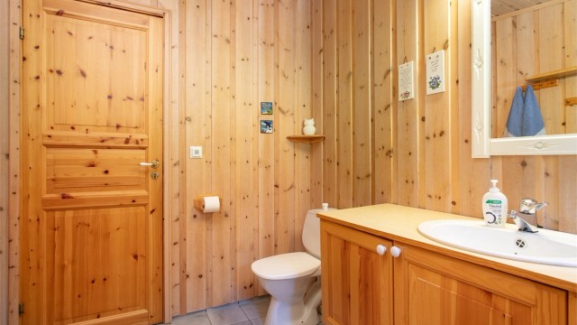 Badet har dusjhjørne og panel på veggene utenfor dusjsonen.