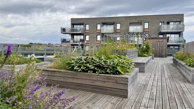 Borettslaget har en herlig, felles takterrasse med flott utsikt og gode solforhold.