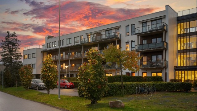 Opparbeidede uteområder rundt bygget med grøntarealer og sykkelparkering.