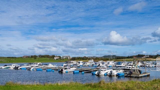 Nærområdet.