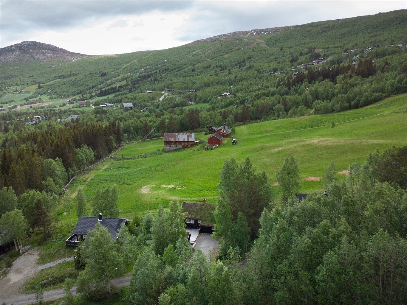 Bjorli er kjent for sine mer enn 80 km med preparerte langrennsløyper.