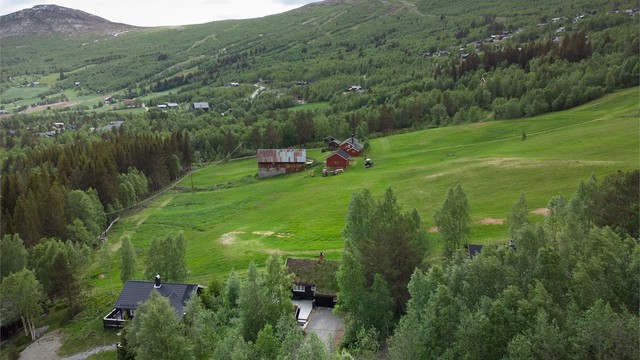 Bjorli er kjent for sine mer enn 80 km med preparerte langrennsløyper.