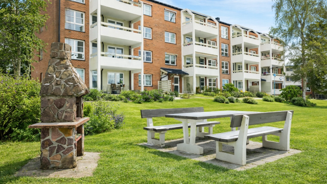 Sommerbilde (Bildet er Ai generert)