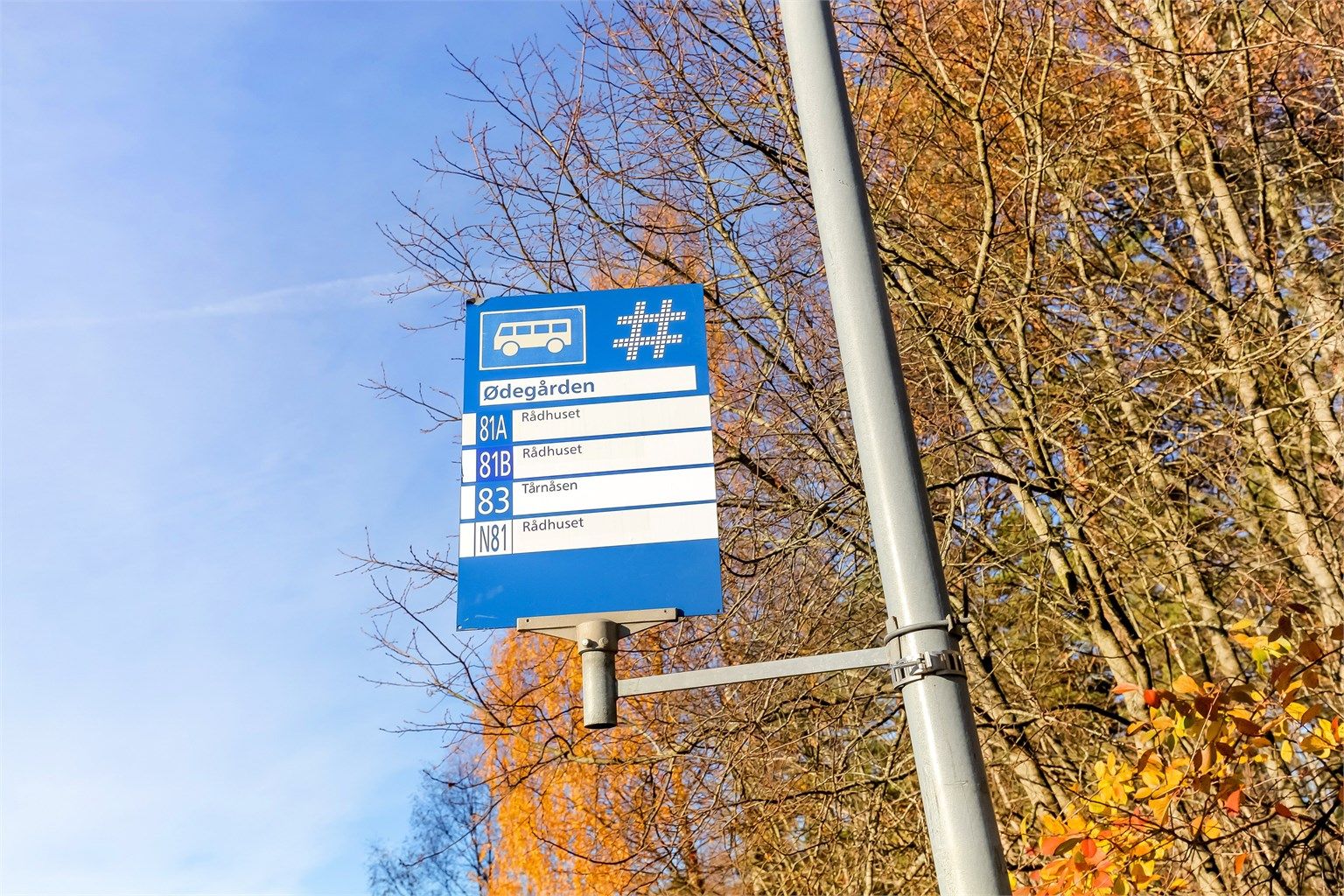 Få minutters gangavstand til bussholdeplass – ekspressbussforbindelse til Oslo morgen og ettermiddag (omkring 25 minutter)