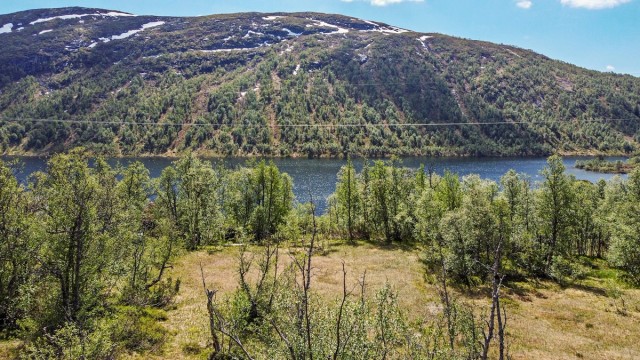 Flott utsikt over Store Bjørnevann og fjellene Strandenuten og Strandeheii.