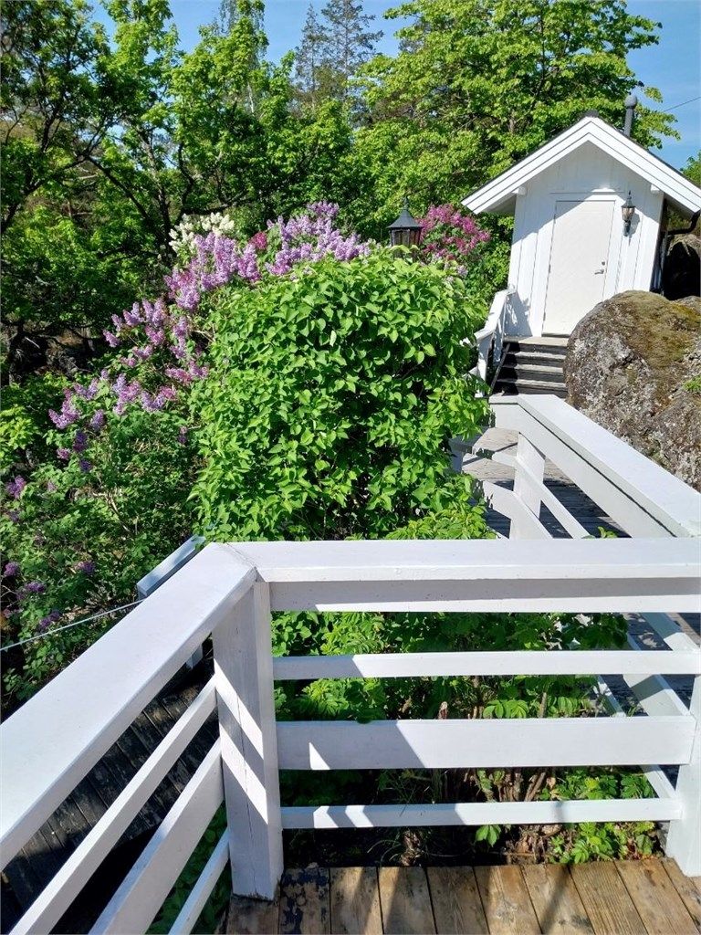 Nydelige syriner på eiendommen.