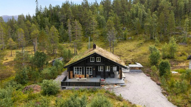- Velkommen til Flæmoen hyttegrend 19 -