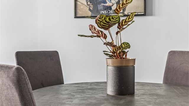 God plass til en hyggelig spisesone i stuen.