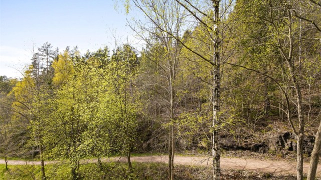 Flotte turstier i Bragernesåsen blant annet til Klopptjern med gode bademuligheter. Turveien starter rett bak blokken.