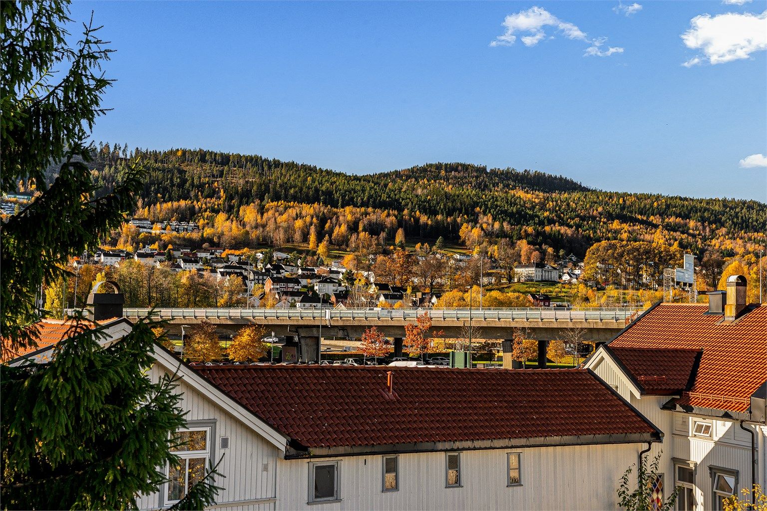 Utsikt - Nærområdet.