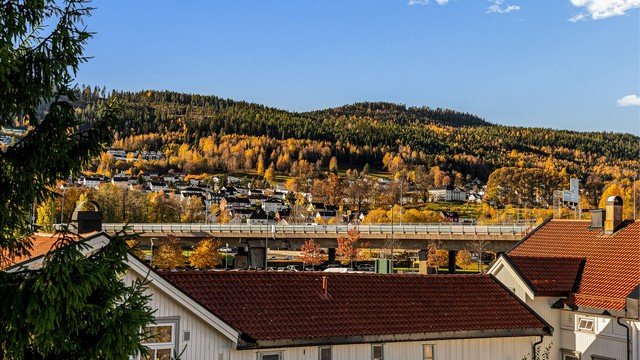 Utsikt - Nærområdet.
