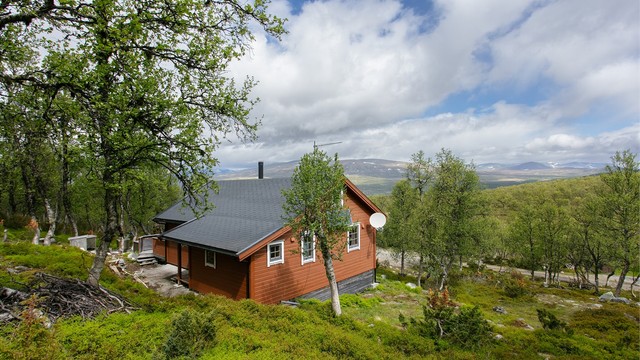 Tomten er i hovedsak naturtomt