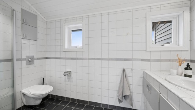 Vegghengt toalett med innebygget sisterne.